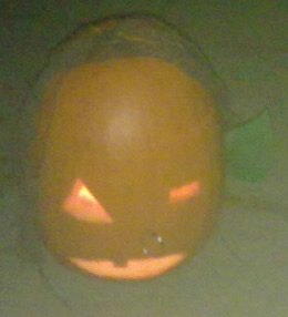 pompoen2